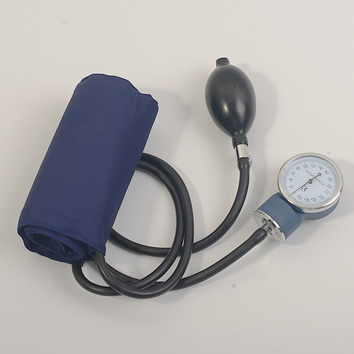 SunnyWorld China Wenzhou Professional Blood Pressure Monitor Manufacturer